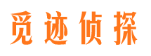 武冈市调查公司